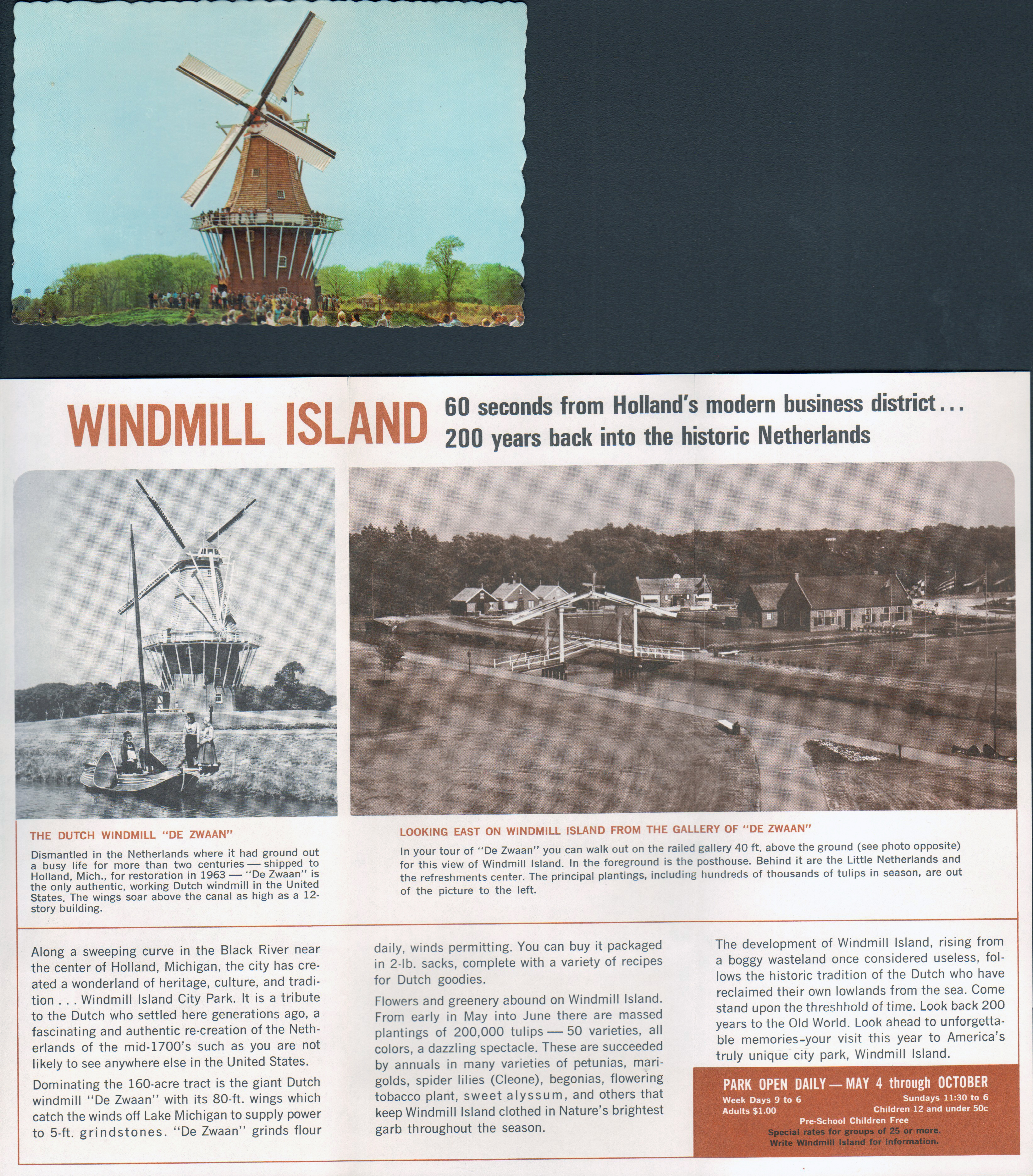 Windmill Island - Holland, MI - brochure. postcard De Zwaan windmill 5 - 6/25 448-C