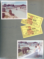 Indianapolis Zoo train ride tickets. Alan and elephant. Baby elephant and Rosemary and Alan