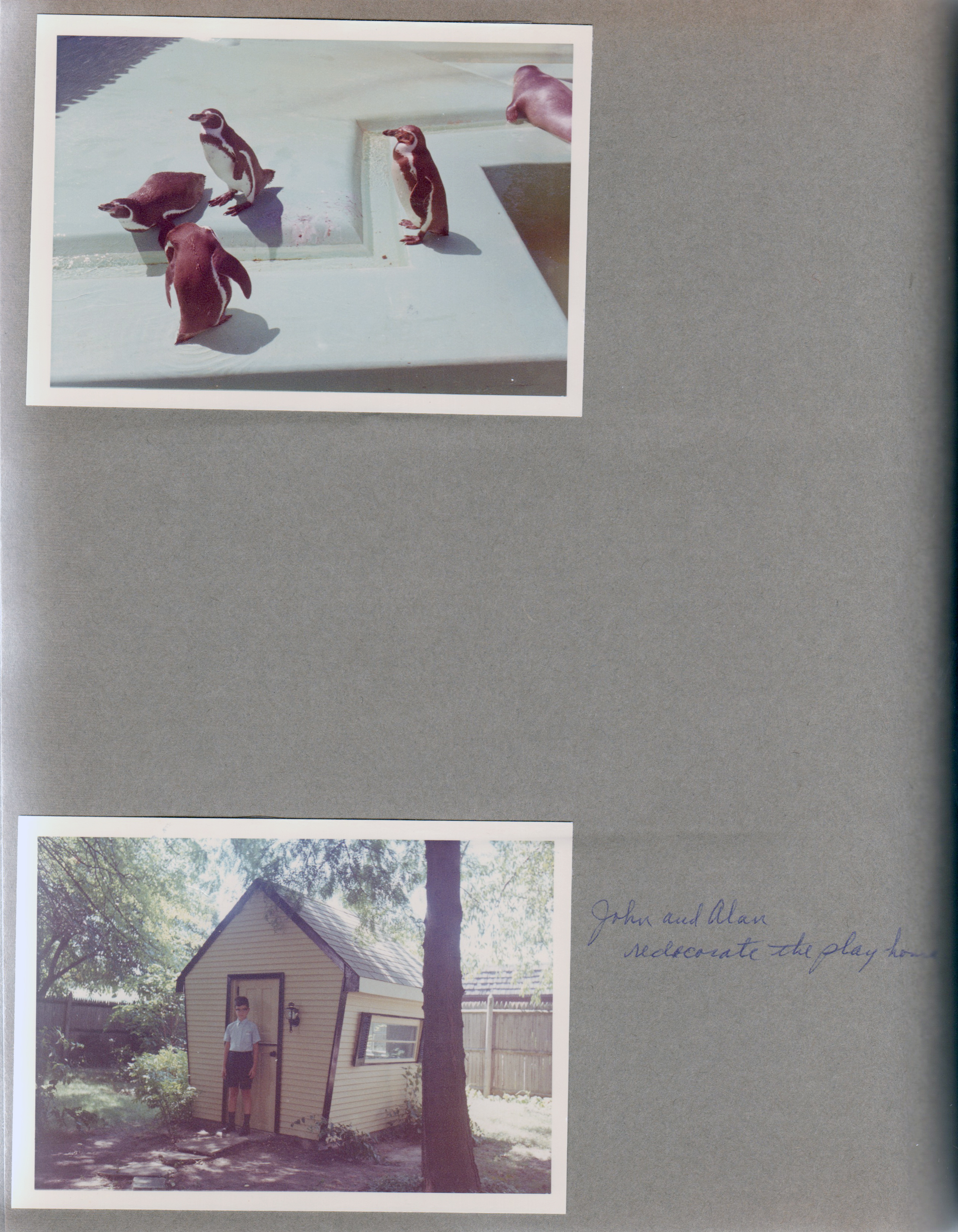 Indianapolis Zoo - Penguins. 6122 play house Alan - John and Alan redecorate the play house.