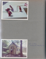 Indianapolis Zoo - Penguins. 6122 play house Alan - John and Alan redecorate the play house.