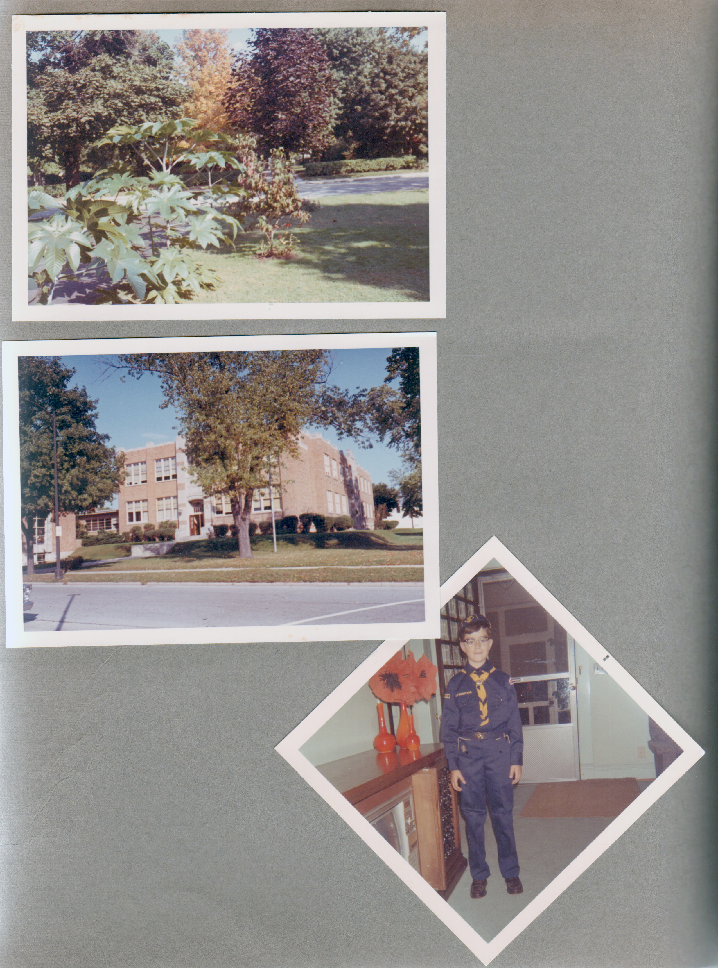 6122 yard - castor beans. School 80 from Kroger parking lot 62ns and Guilford. 6122 living room Alan in Cub Scout uniform