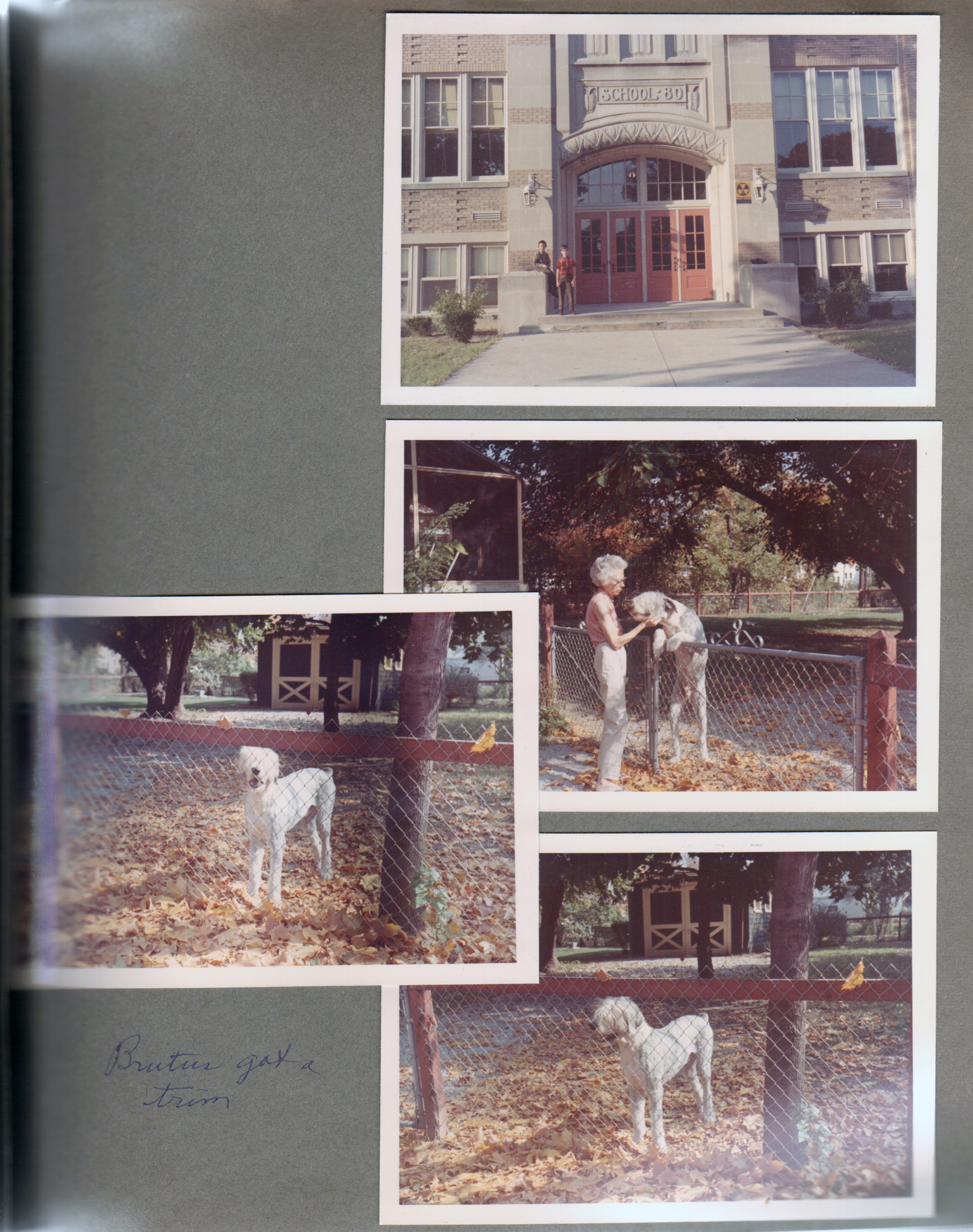 School 80 west entrance - Steve Chaillard and Alan - fallout shelter sign. 6123 Carrollton Louise Williams with Brutus after a haircut.