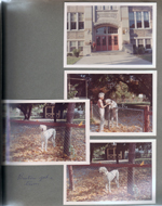 School 80 west entrance - Steve Chaillard and Alan - fallout shelter sign. 6123 Carrollton Louise Williams with Brutus after a haircut.