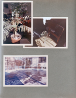 6122 dining room -  palm tree. Driveway snow back of house