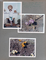6122 living room fireplace - Susan in costume for Ripples. Yard - crocus