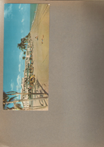 postcard Neptune Apts Hollywood Beach FL S-63408F from Olive Hicks.