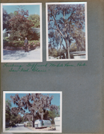 Leesburg Griffwood Mobile Home Park - Saw Fred Blair. Alan by tree. Spanish moss in tree. 