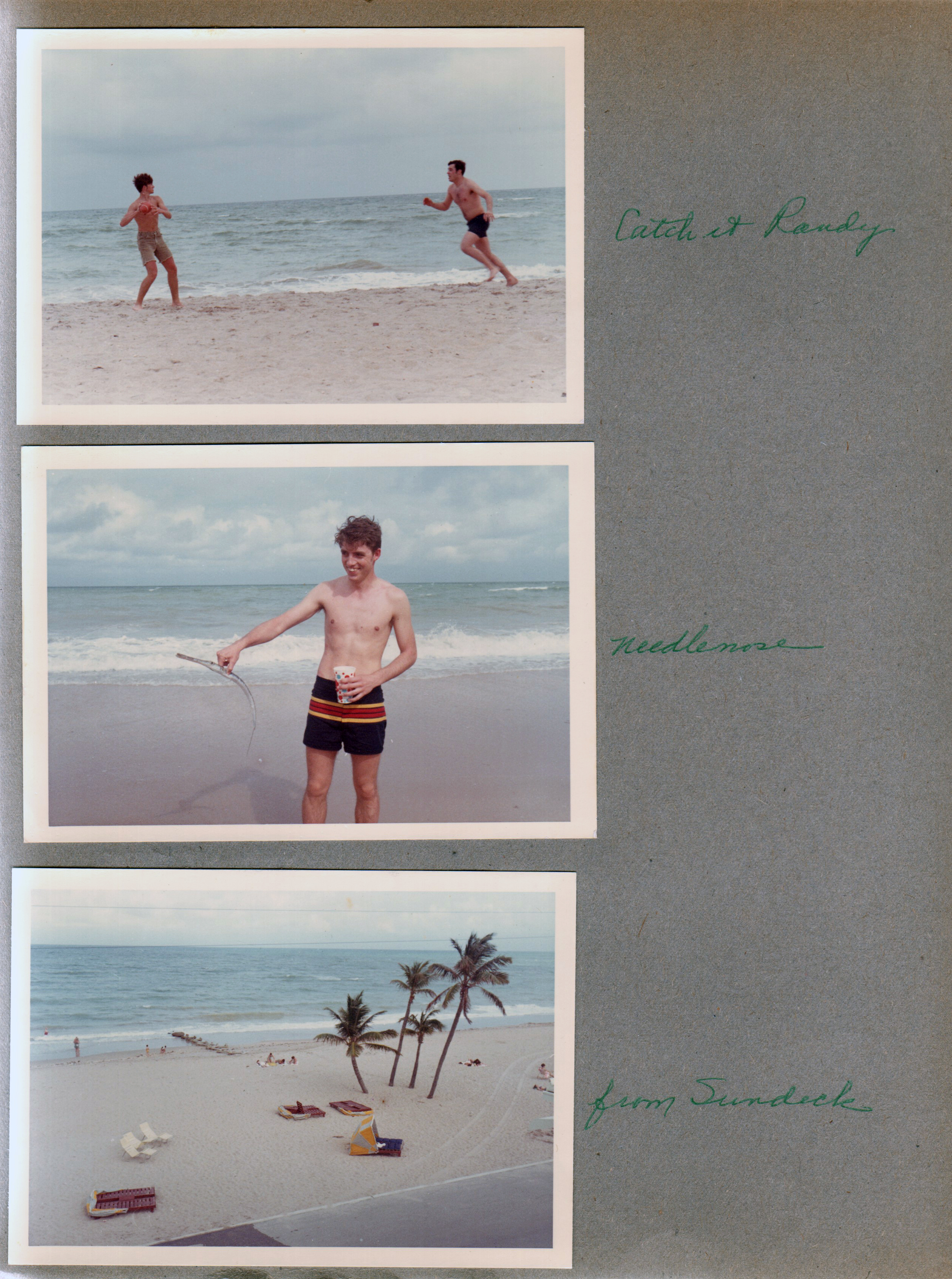 Hollywood Beach - Catch it Randy. Needlenose fish. from Neptune sundeck - palm trees and jetty