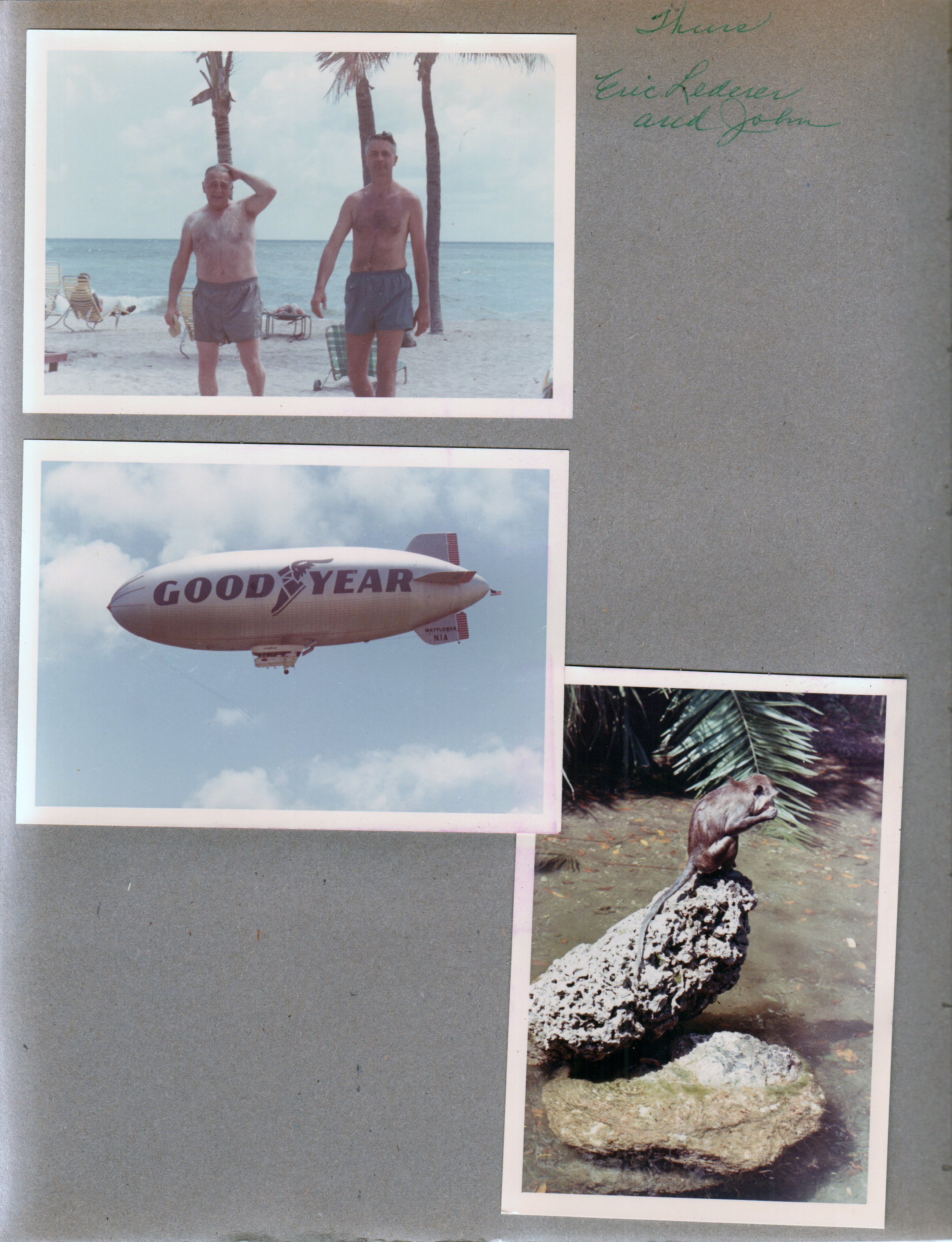 Hollywood Beach - beach - Eric Lederer and John. Goodyear blimp. Monkey on rock.
