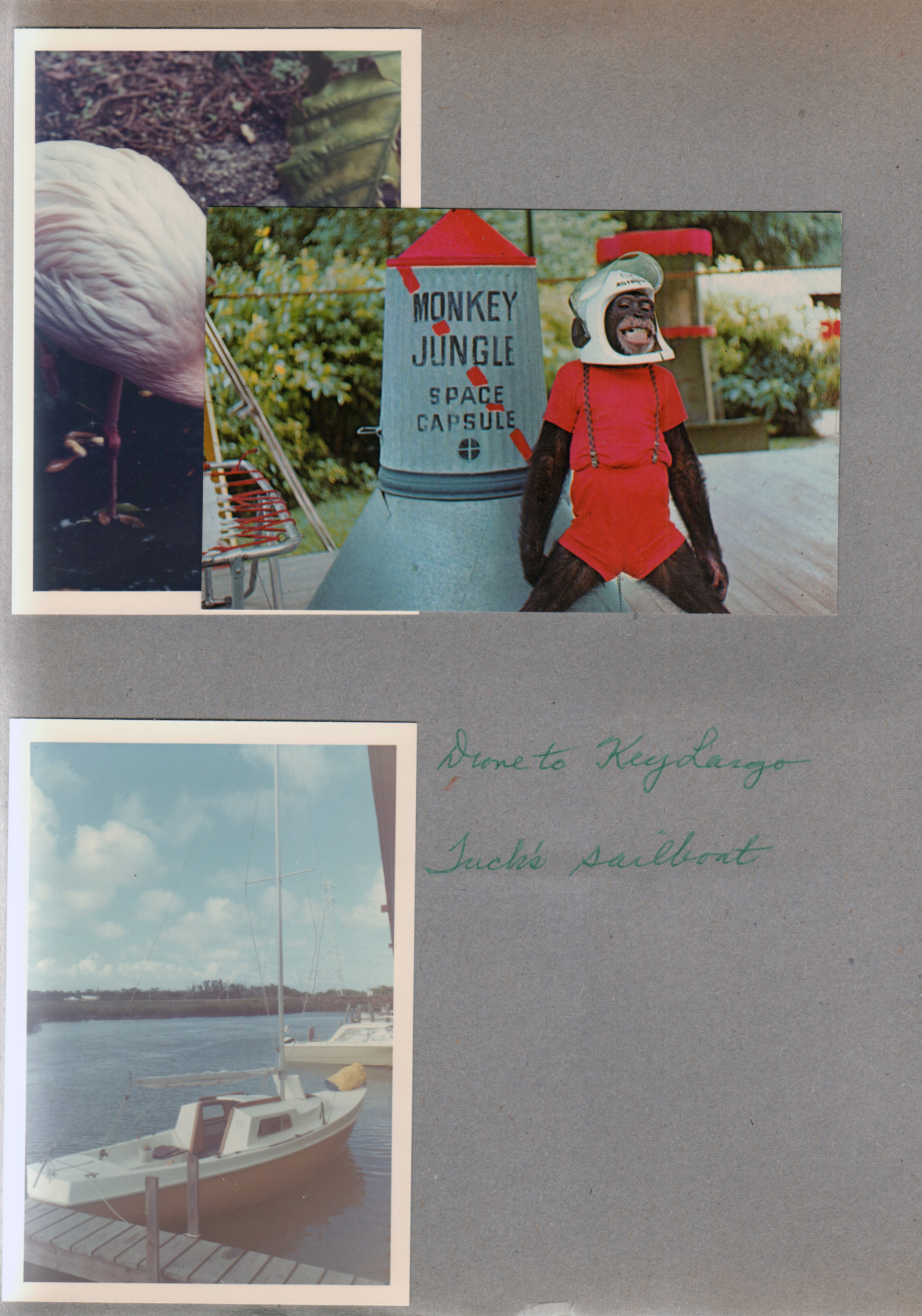 postcard Monkey Jungle - Space Capsule GM.I 4DK-1863. Flamingo. Drove to Key Largo. Tuck's sailboat.