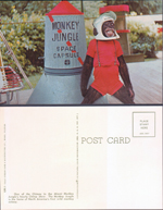 postcard Monkey Jungle - Space Capsule GM.I 4DK-1863