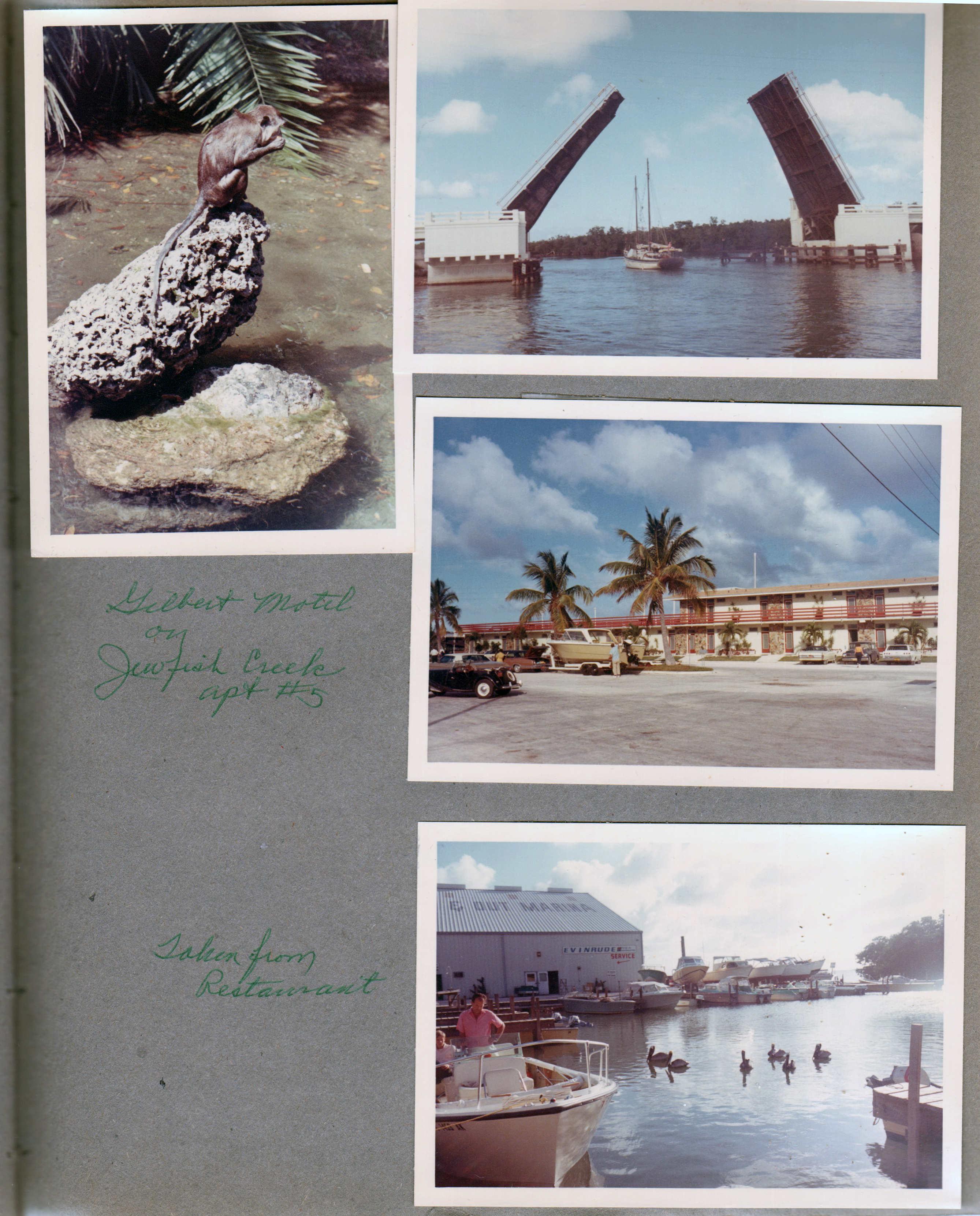 Gilbert Motel on Jewfish Creek apt #5. Monkey on rock. Drawbridge. Taken from restaurant - boat and ducks