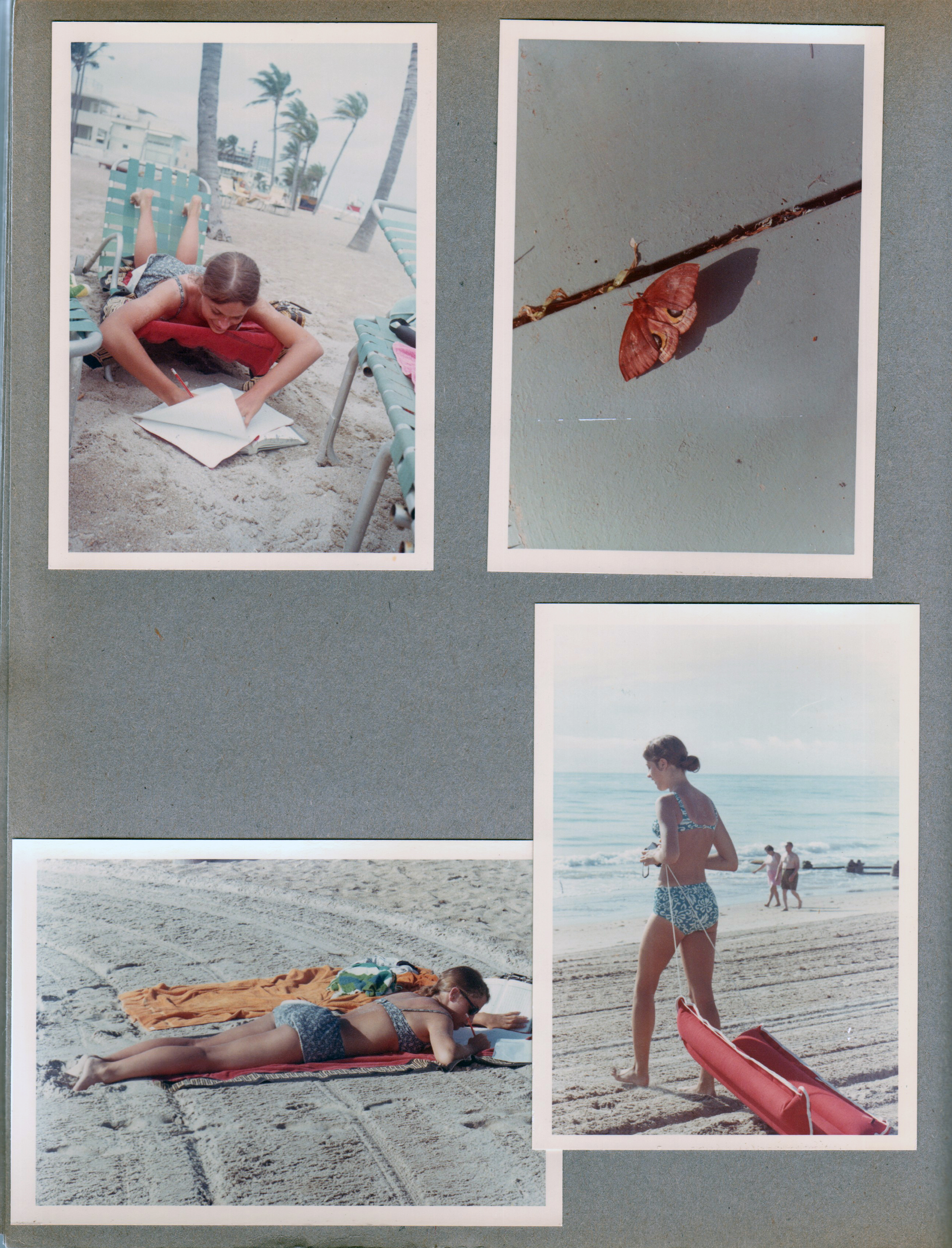 Hollywood Beach - Susie Tuck studying on beach. Moth. Susan with raft on beach.