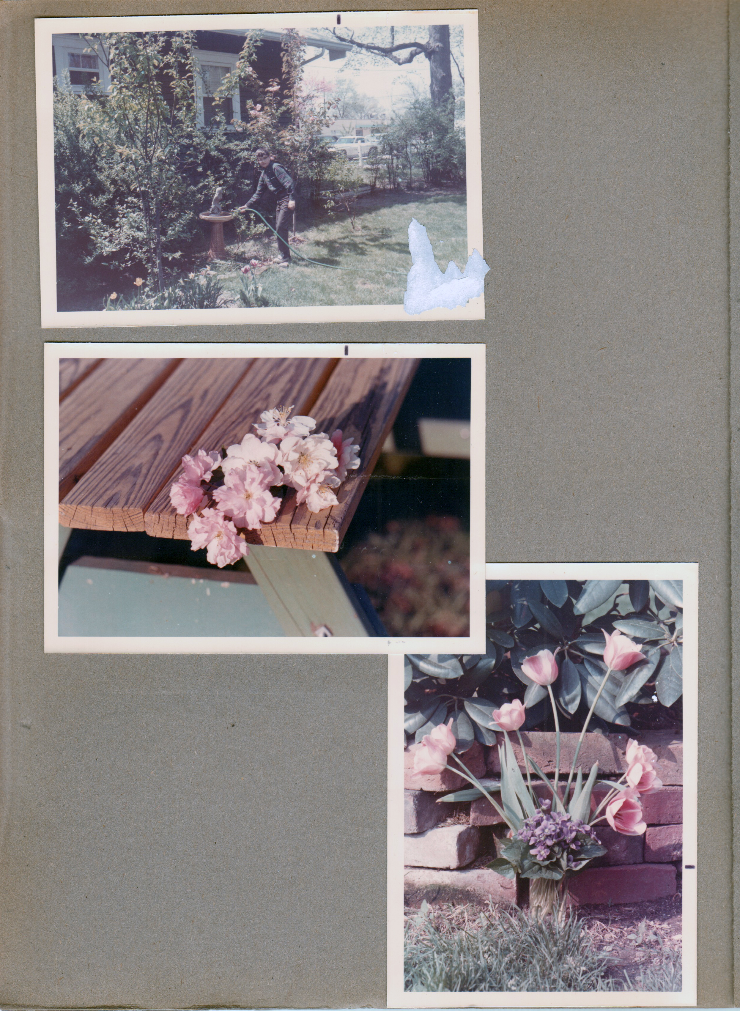 6122 yard - A;an filling bird bath. Flowers 