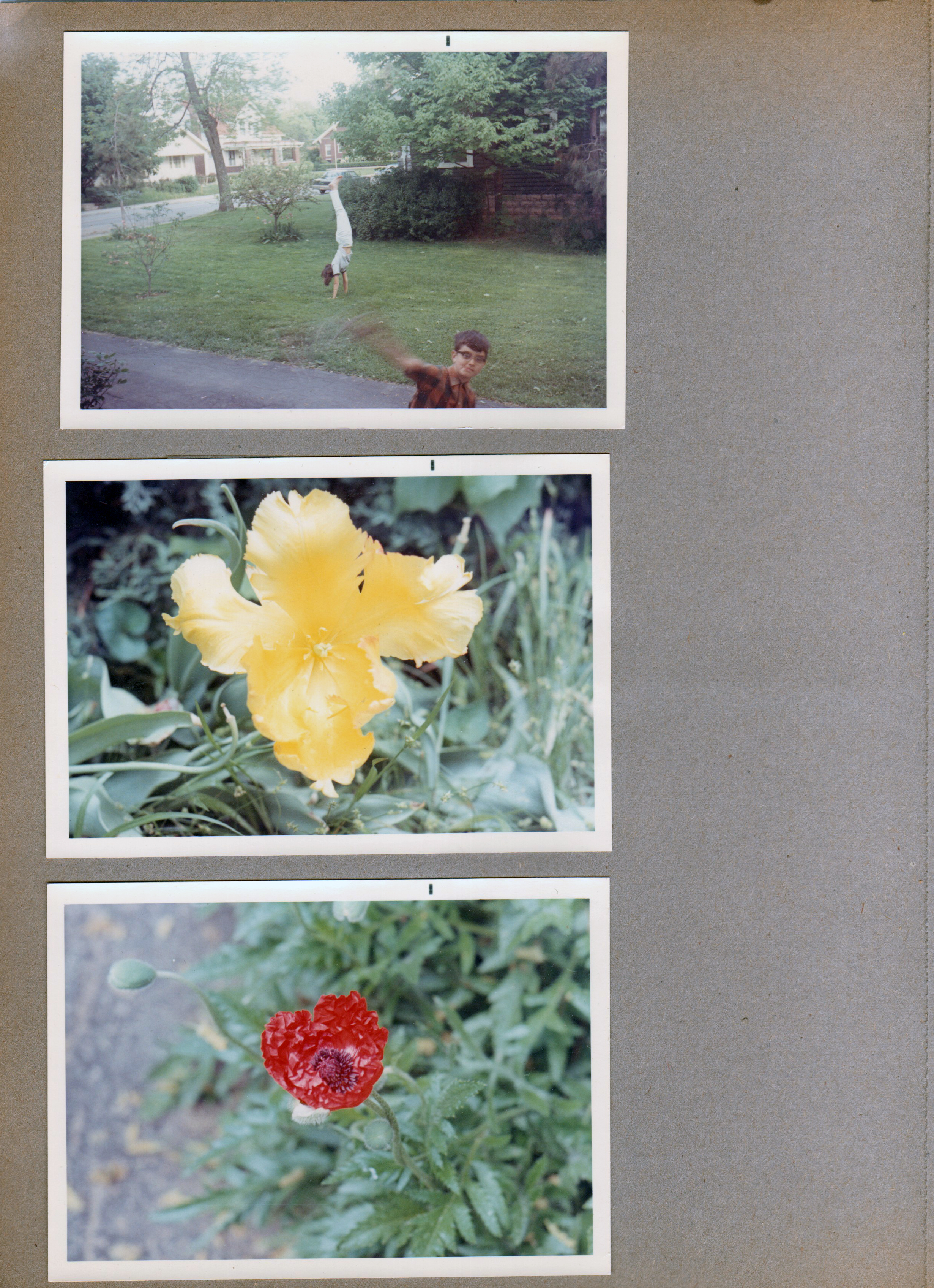6122 yard - probably Susan handstand and Alan. Flowers.