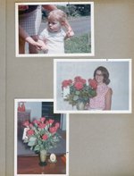 6122 Yard - Rosemary with Bill. Susan in kitchen with roses.  Roses on coffee table.