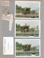 Riviera Club - diving tank. Lois Chambers obit. Indiana State Fair ticket. Victor H Pulis business card