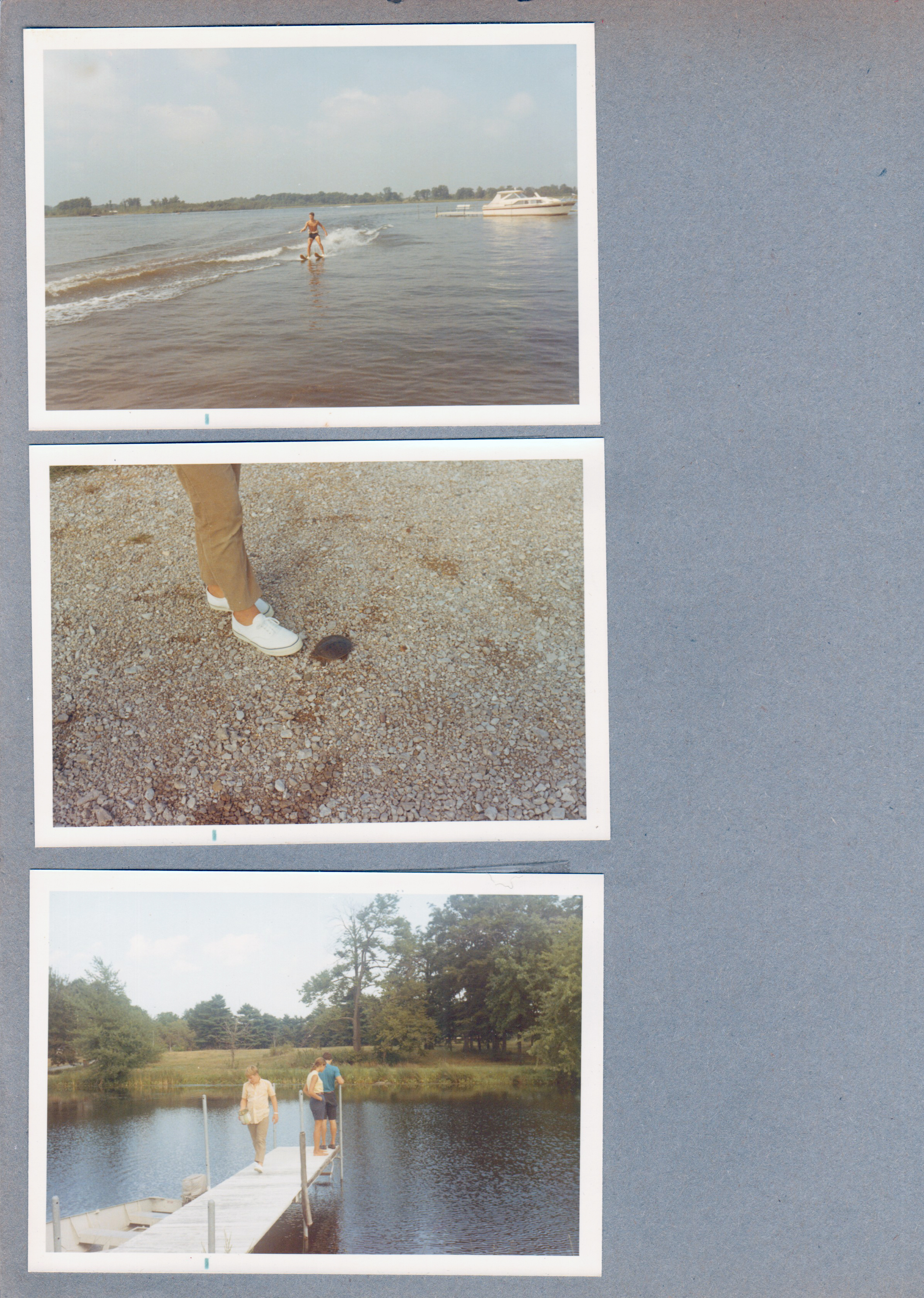 Wawasee - Jim Erwin skiing. Soft-shell turtle on driveway. Susan and others on channel dock.