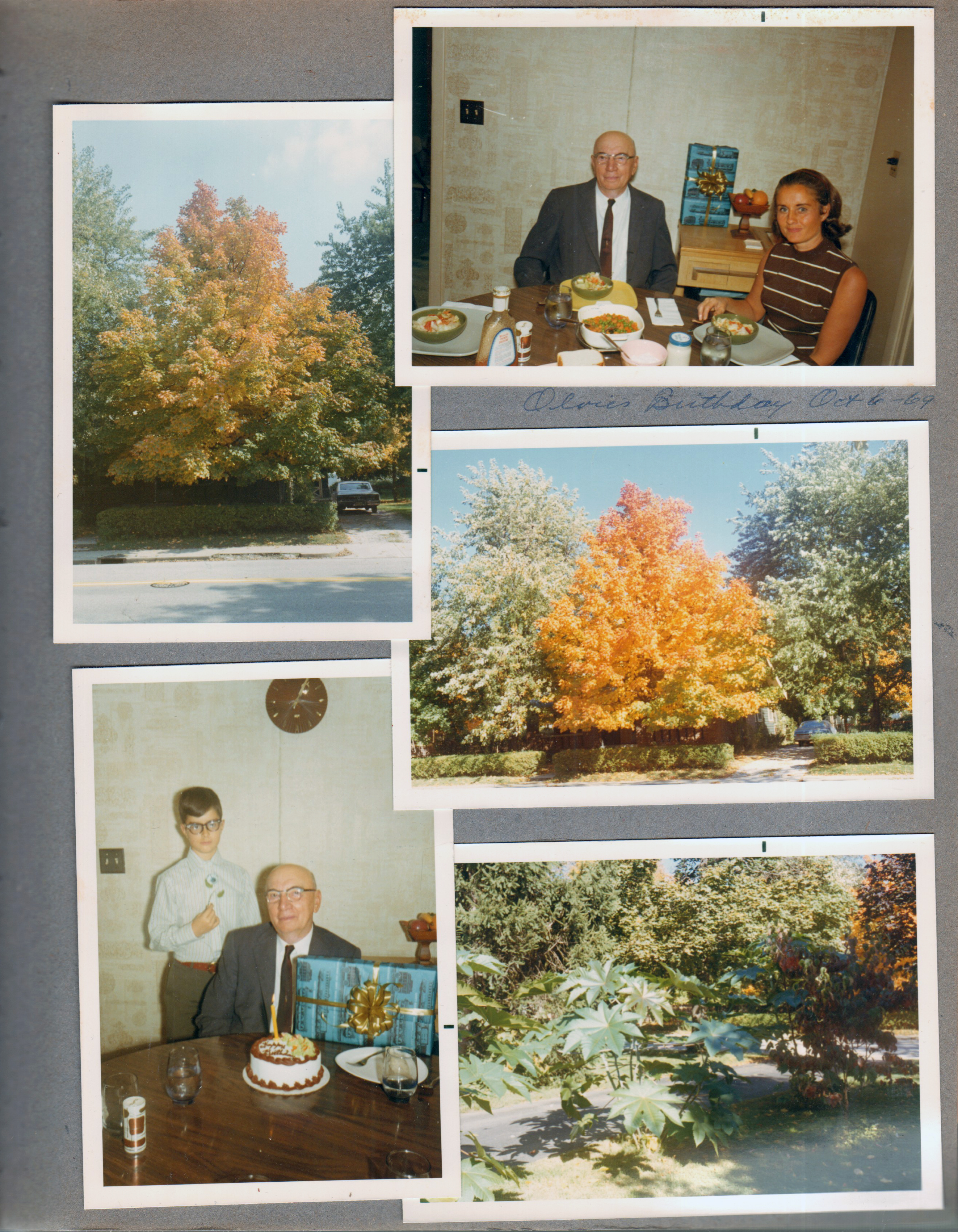 6123 fall tree. 6122 kitchen - Olvie Meyers birthday - Rosemary and Alan. yard - castor bean.