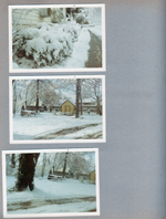 6122 yard snow