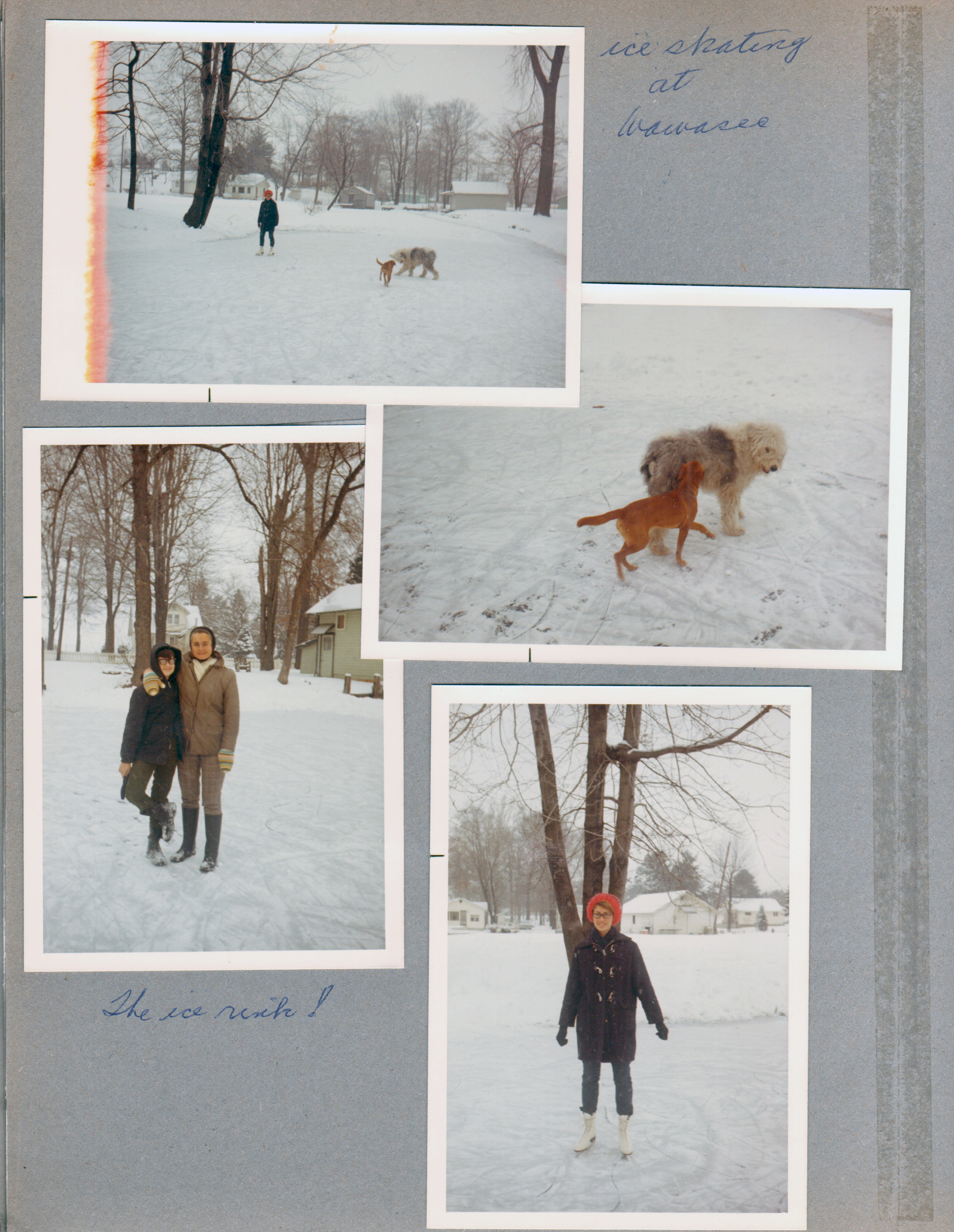 Wawasee - ice skating. Alan, Rosemary, Susan.  Dogs.