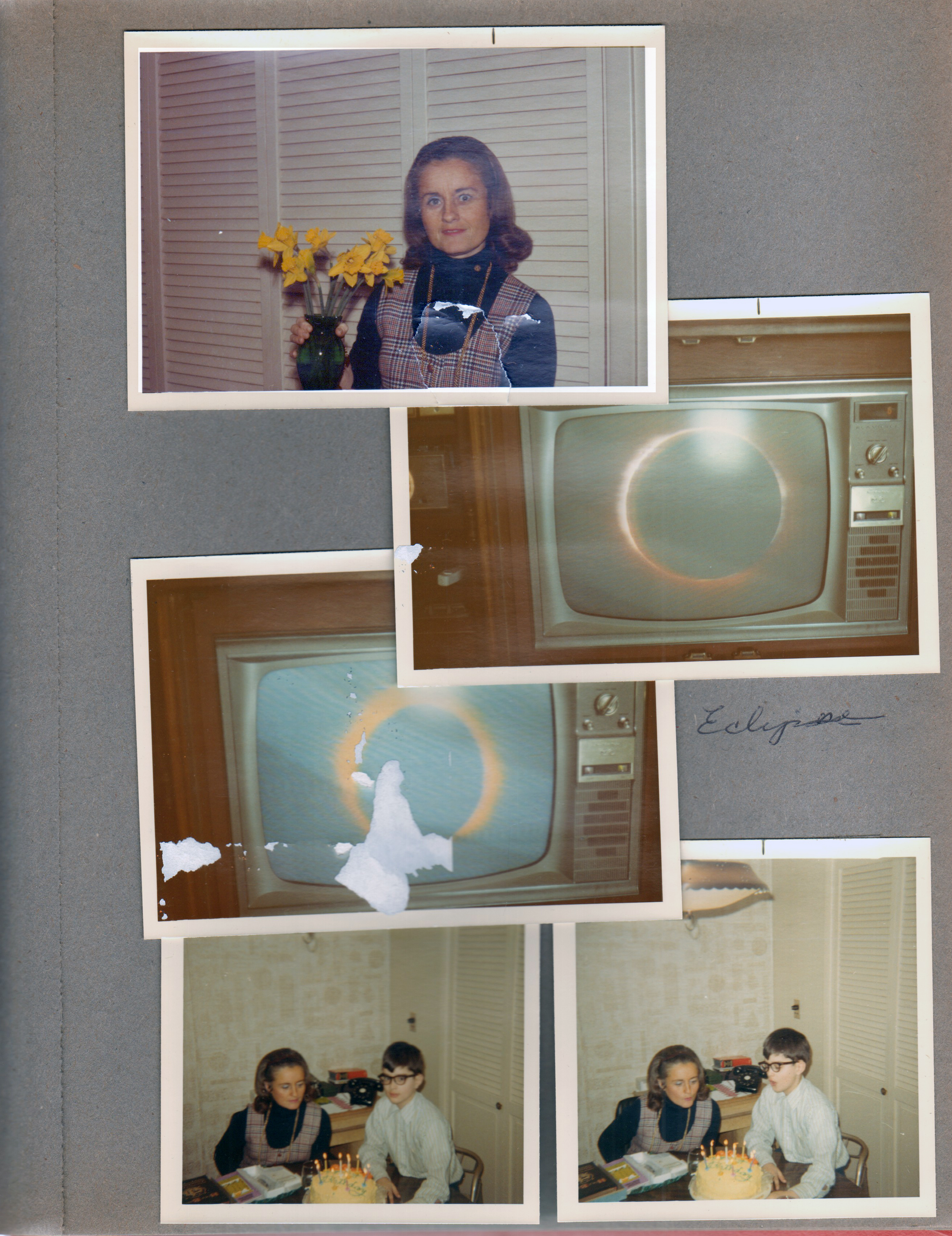 6122 kitchen - Rosemary with daffodils. Eclipse on TV. Rosemary and Alan with cake.