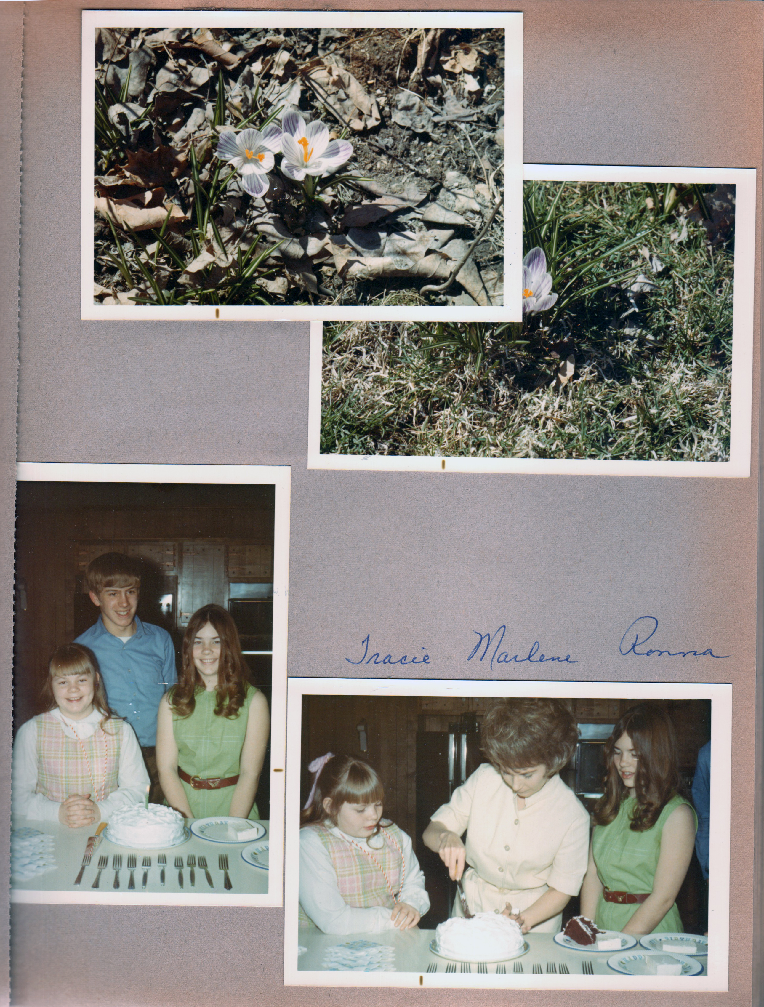 6122 yard - crocus. 8817 Haverstick - Tracie, Eddie, Ronna. Marlene.