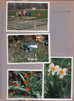 BRHS track meet - Randy. 6122 yard - daffodils, tulips