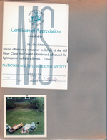 MS Hope Chest certificate, 6122 yard from upstairs window - Rosemary, Princess and Shakespeare.