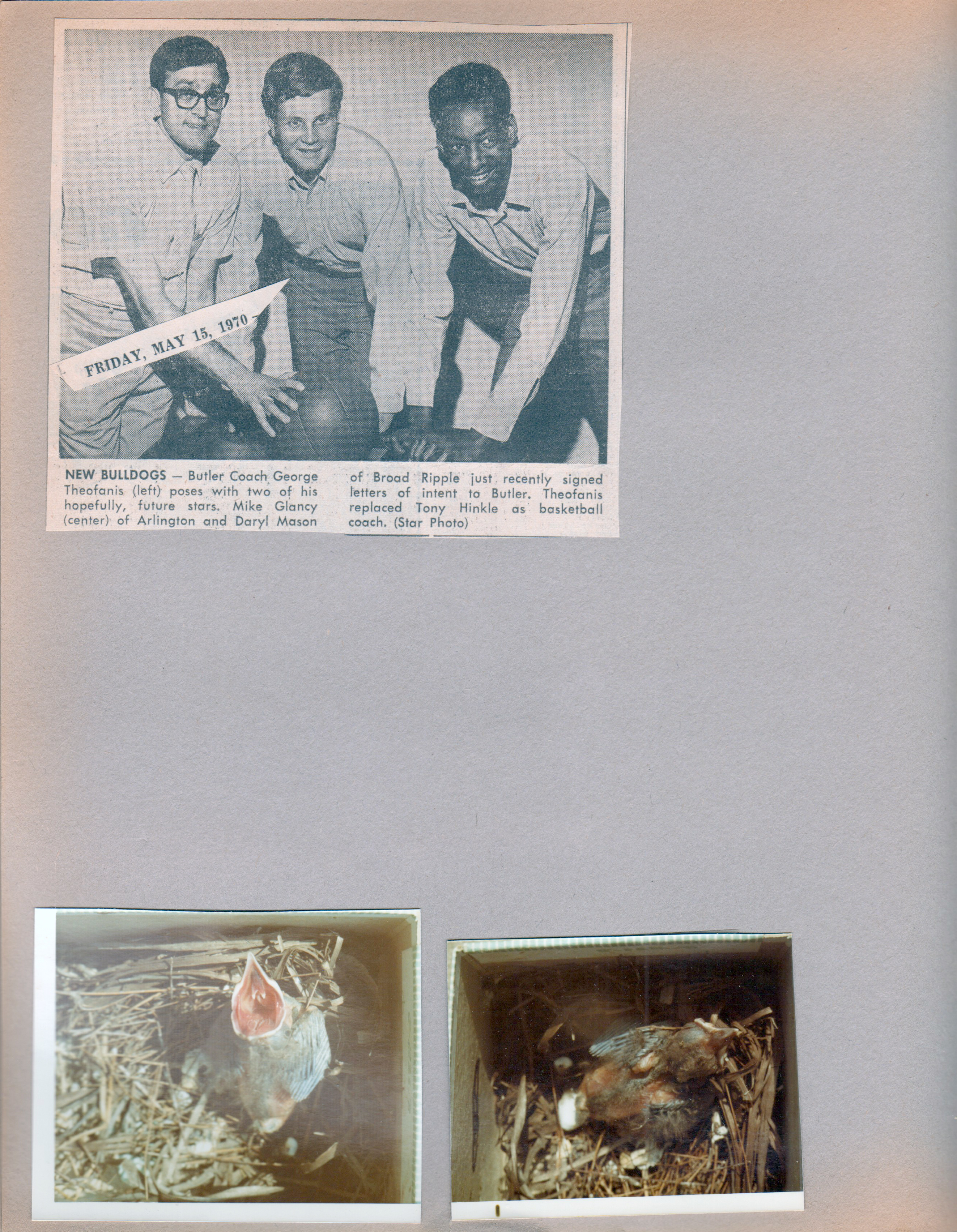 newspaper clipping - Butler Bulldogs. Baby bird in box