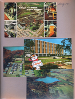 postcard Kellogg puts more in your morning 999-9-2605 D-15846. postcard Welcome to Kellogg's of Battle Creek 999-8-2608-I P73946. postcard Reception Center, Kellogg Bird Sanctuary aerial 97902-B. postcard Kellogg Bird Sanctuary and farm aerial 97901-B