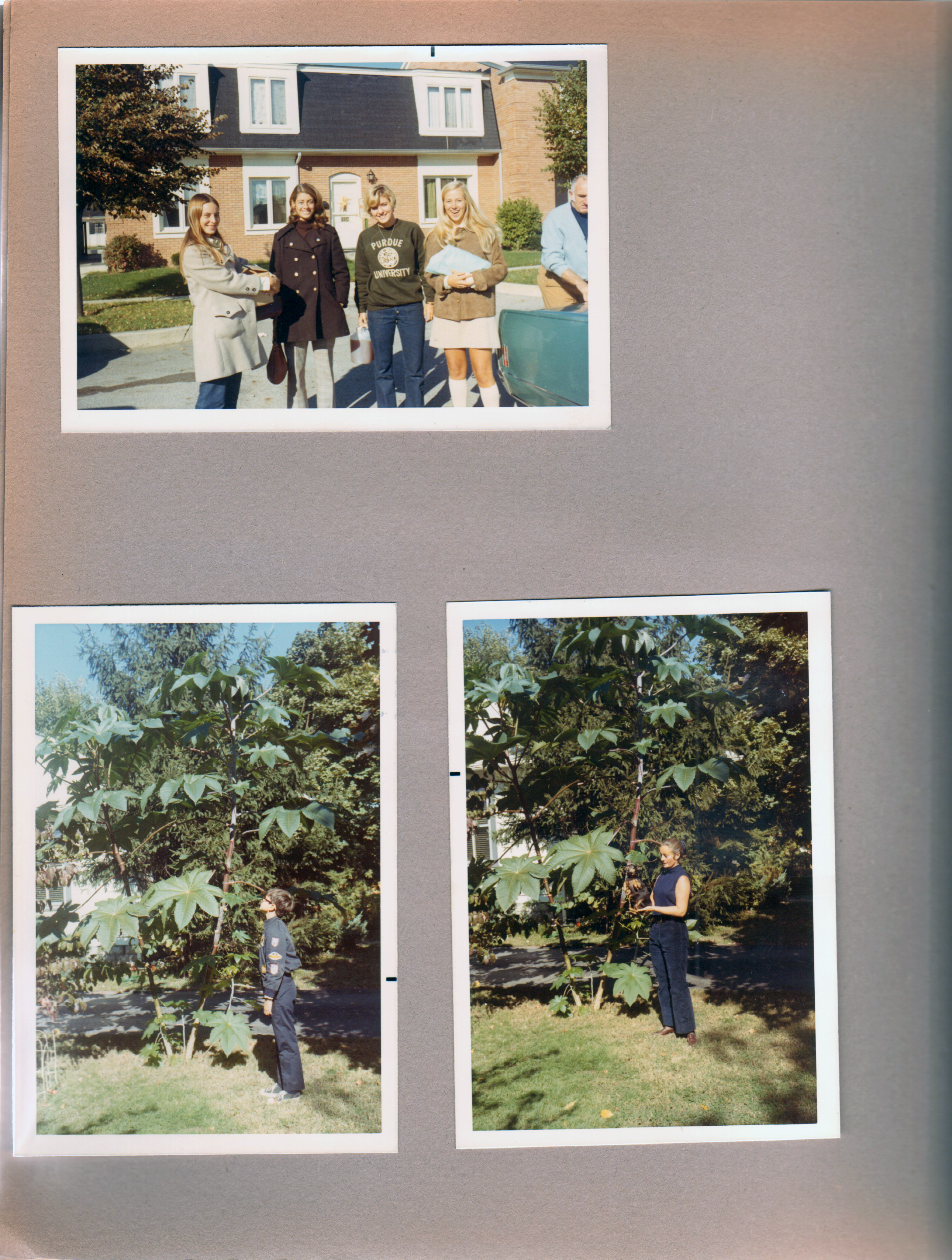 Purdue - Susan and girls. 6122 yard - Castor beans - Alan.