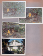 6122 yard - squirrel eating corn. House and Galaxie 500 XL.