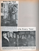 newspaper clipping - School 80 - principal Richard Clark and teacher Mrs Enyart plant a tree.BRHS reunion at Laughner's Cafeteria - Blanche Smith, Pearl Eller, Morris Dodd.