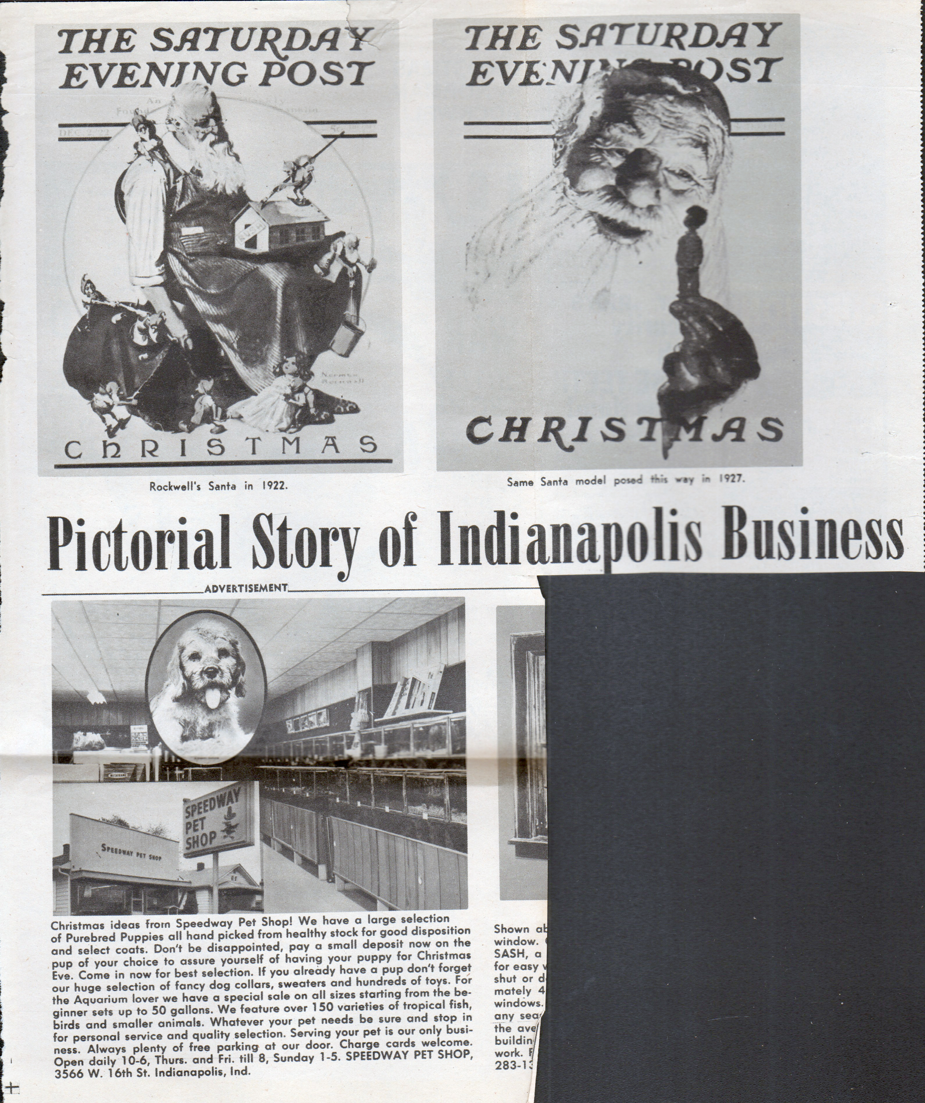 newspaper clipping - Christmas by Norman Rockwell. Speedway Pet Shop.