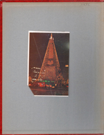 newspaper clipping - Monument Circle Christmas tree