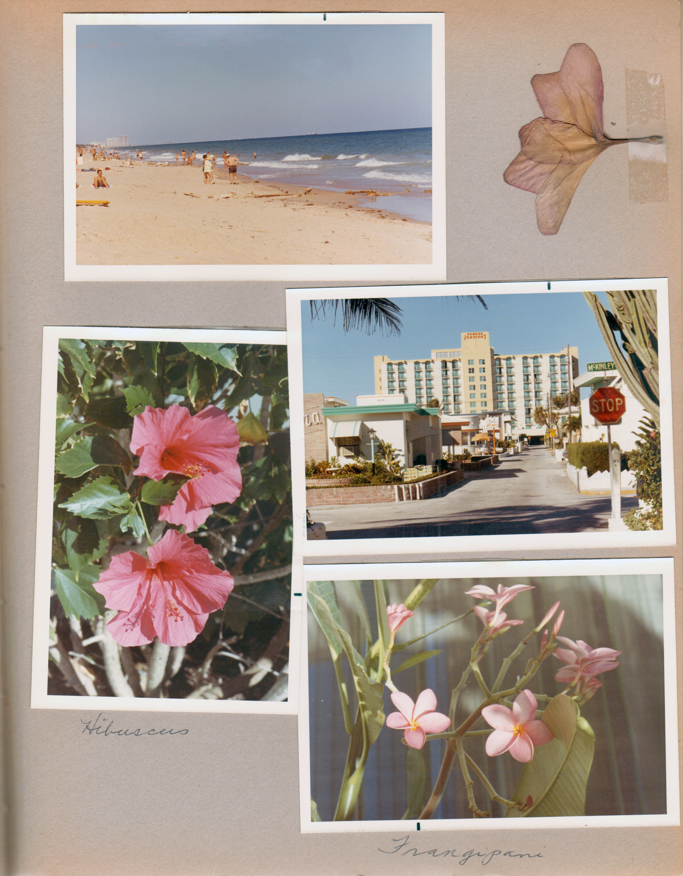 Florida - Hollywood Beach - Neptune - 