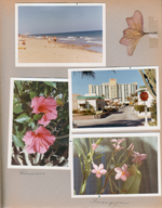 Florida - Hollywood Beach - Neptune - 