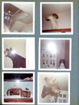 Children's Museum - staircase, ram, bear, dollhouse, diorama, moose head.