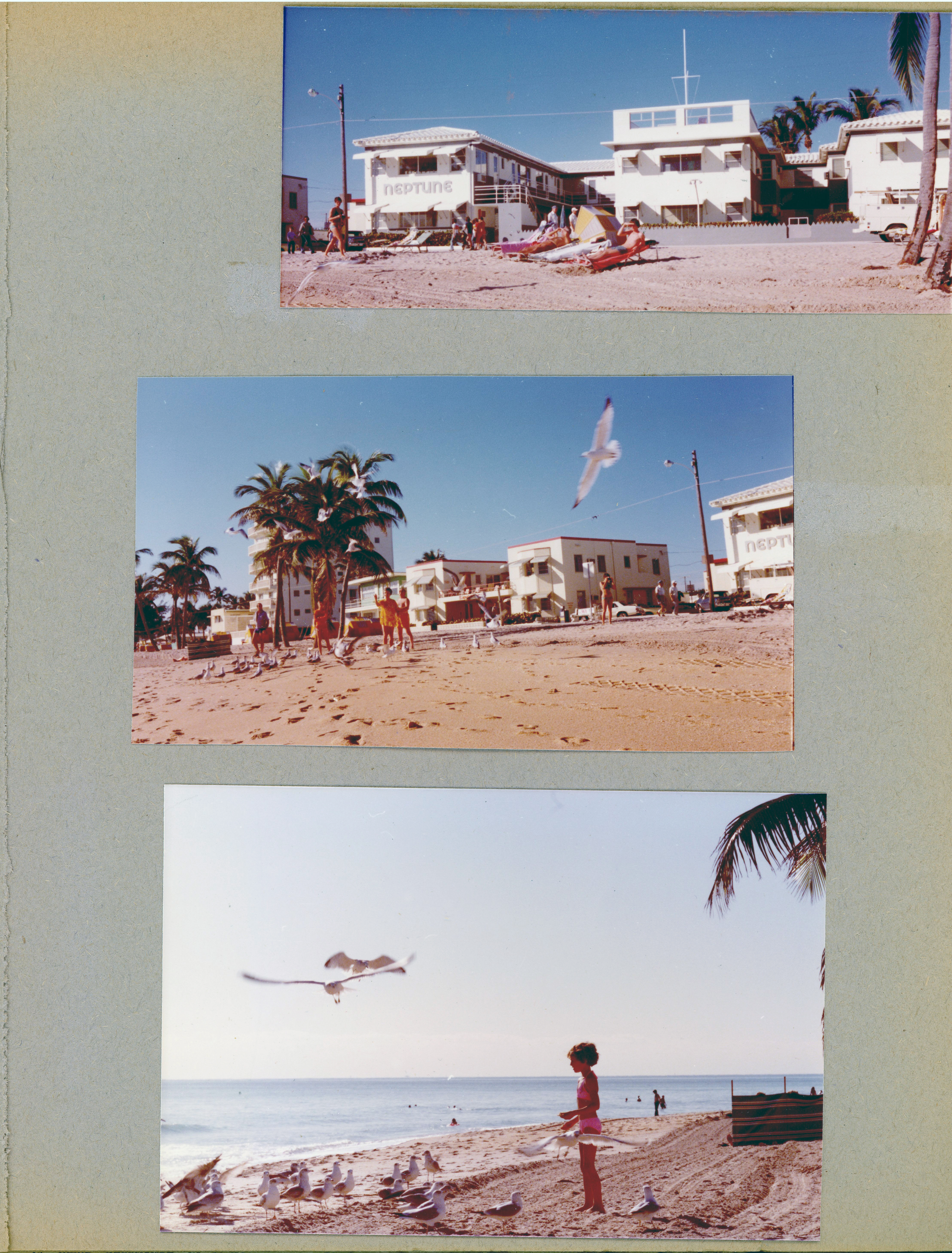 Florida trip - Hollywood - Neptune - from beach - sundeck. Feeding gulls.