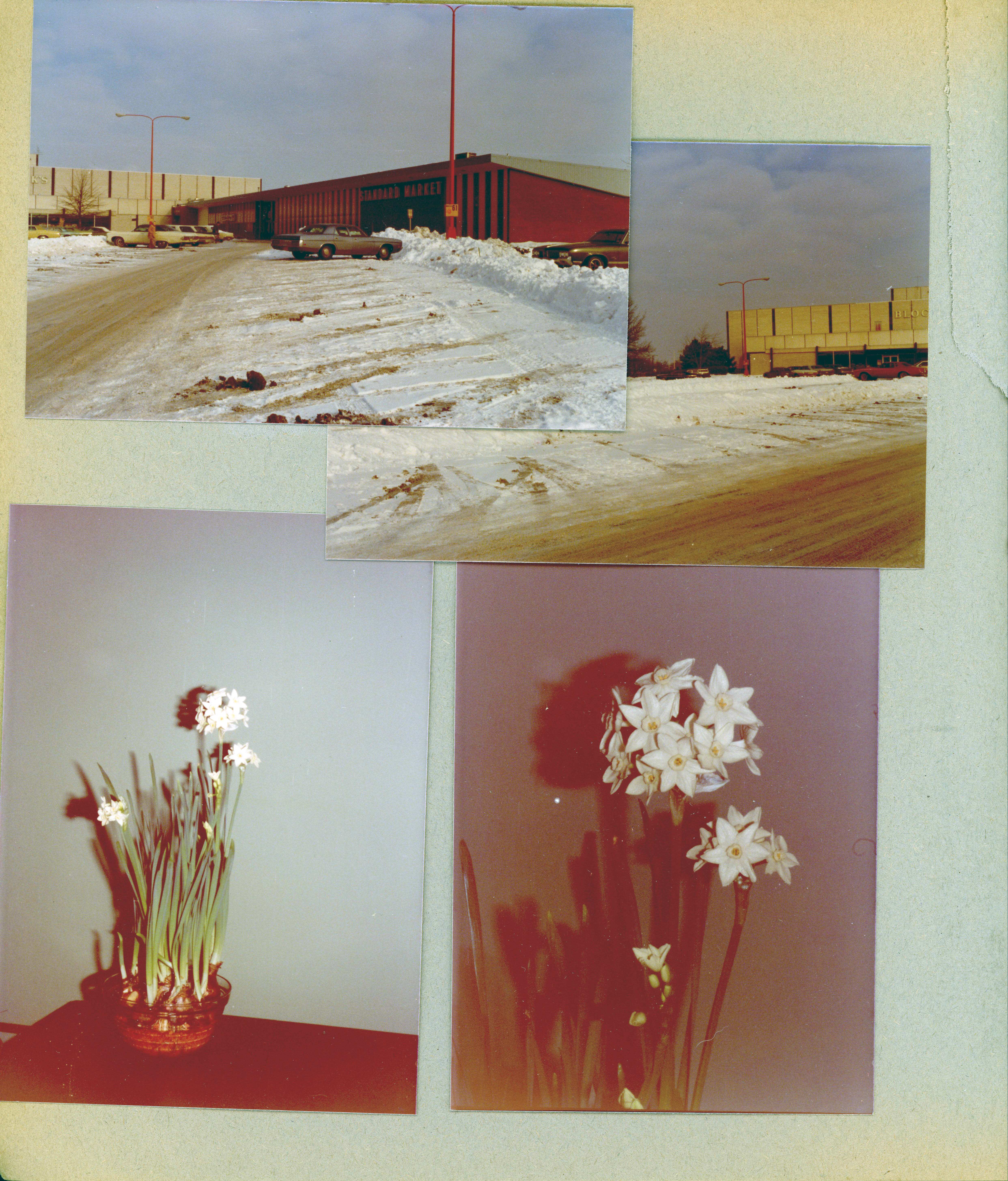 Snow at Glendale Mall - Block's and Standard Market. 6122 living room - flowers on TV.