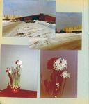 Snow at Glendale Mall - Block's and Standard Market. 6122 living room - flowers on TV.