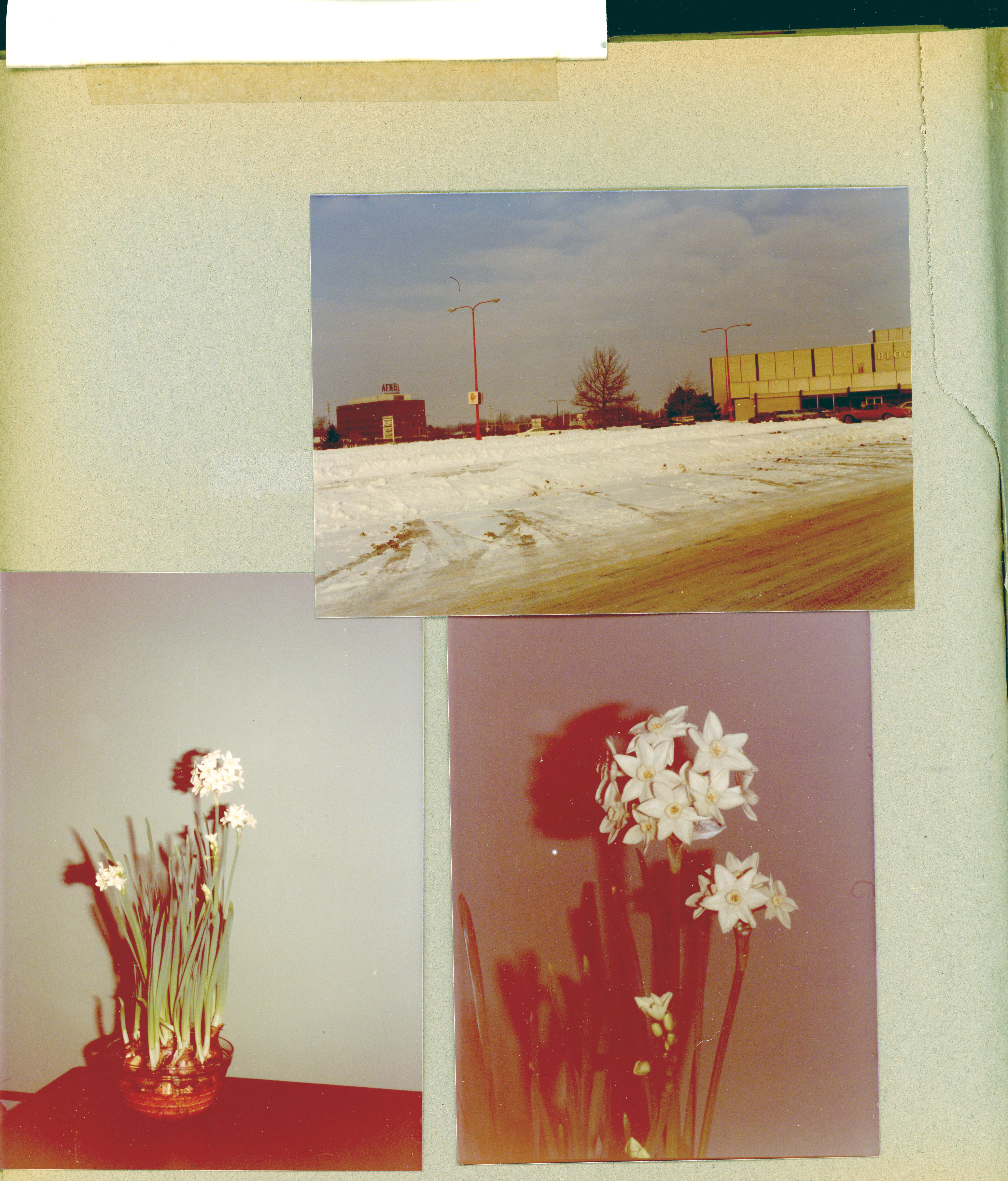 Snow at Glendale Mall - Block's and 6100 tower. 6122 living room - flowers on TV.