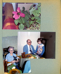 6122 living room - poinsettia.  6122 Kitchen - Warren and Bill. Florence and Shakespeare. 