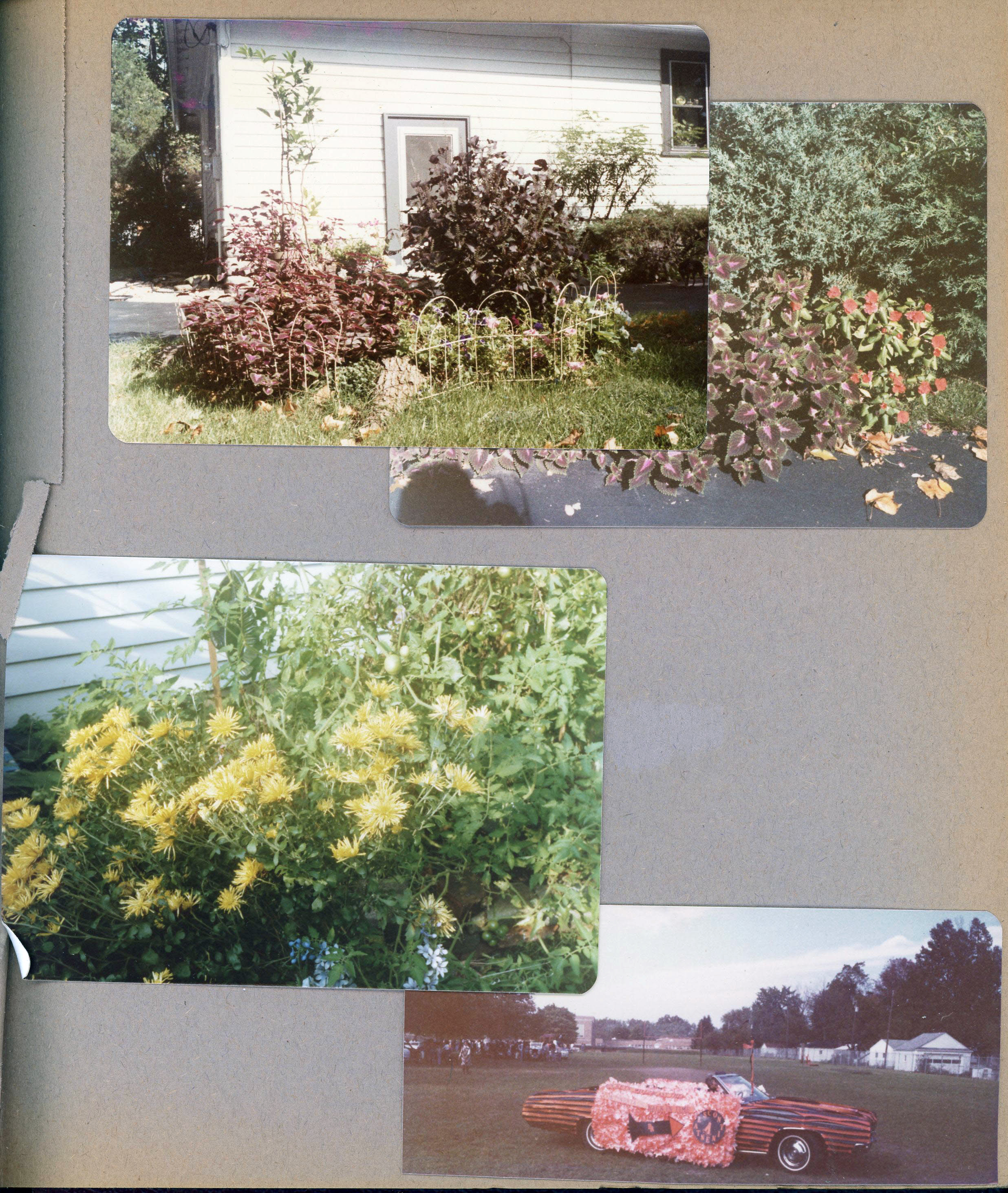6122 side of house - plants. BRHS Homecoming float - Galaxie 500.