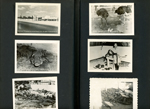 tiny travel souvenir cards - Casper's Alligator Jungle - St Augustine, Fla. Old Columbus over 700 years old. Florida grown ostrich. Snake handler.