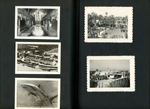 tiny travel souvenir cards - Interior View of Museum showing large table. Airplane view of Marine Studios - Marineland, Fla. aerial. Bull Dhark with Remomra. Marineland, Fla