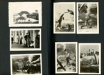 Marineland, Fla. tiny travel souvenir cards - Glass observation windows at Marine Studios, Fla. Feeding porpoises. Feeding Time.