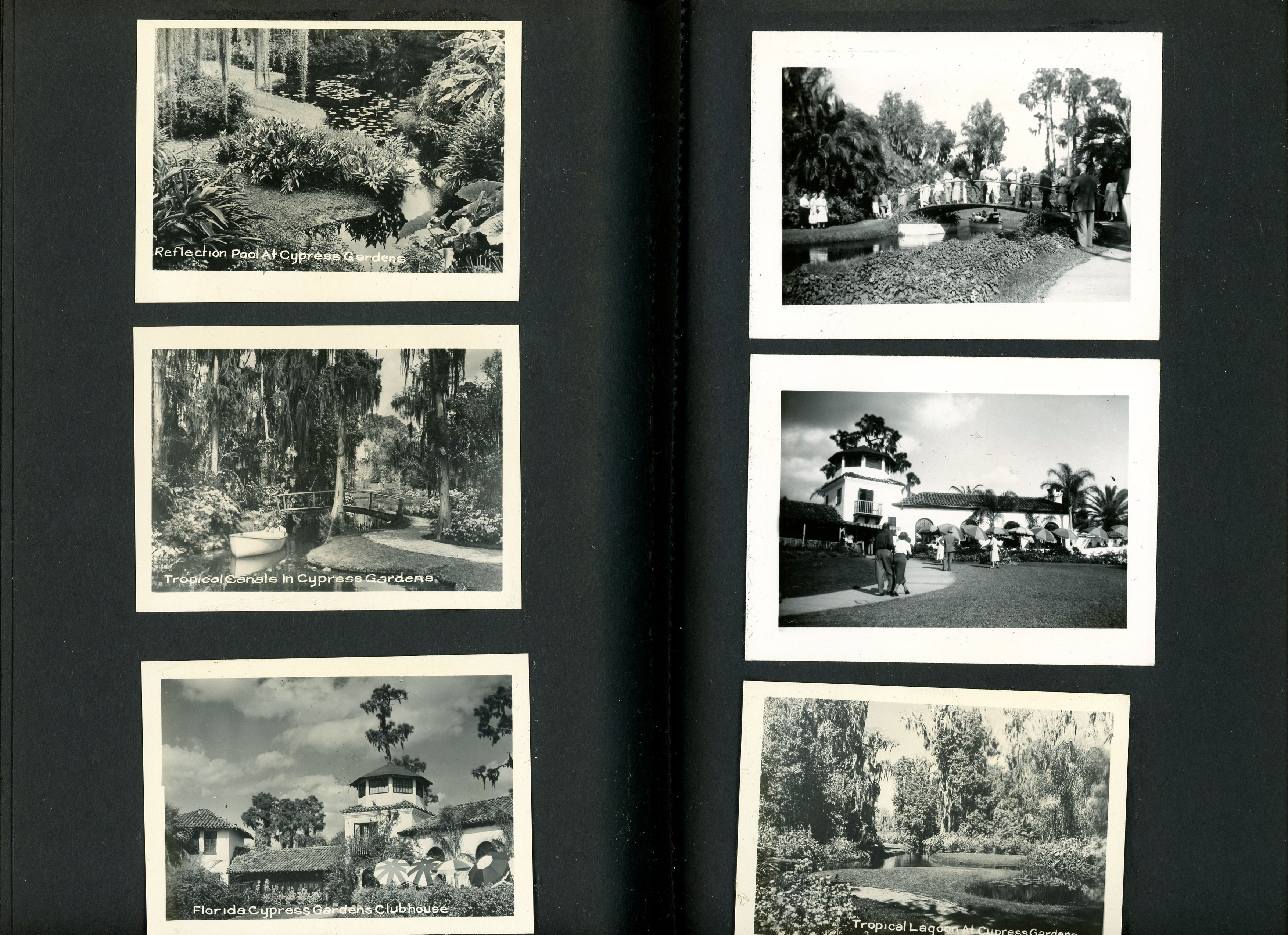 newspaper clipping - newspaper clipping - newspaper clipping - newspaper clipping - newspaper clipping - newspaper clipping - 