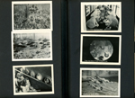 tiny travel souvenir cards - Silver Springs, Fla. In a photo sub. In a glass bottom boat.